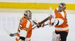 Steve Mason a Michal Neuvirth jsou zhruba stejně vytížení