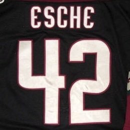 42. Robert Esche, brankář - Američan se kdysi pokoušel urvat pozici jedničky ve Philadelphii, ale nedokázal prestižní místo udržet. Dařilo se mu v KHL.