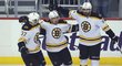 Boston Bruins - Pittsburgh Penguins 6:1. To je pořádný důvod k oslavám "medvědů"