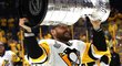 Bek Pittsburghu Ron Hainsey si ve 36 letech si zahrál letos vůbec poprvé v play off. A hned vyhrál Stanley Cup