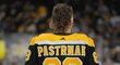 Hlavu českého střelce Davida Pastrňáka bude pro letošní play off NHL zdobit populární mullet sestřih