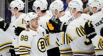 NHL ONLINE: Boston krok od postupu. K němu má blízko Hronek i Nečas