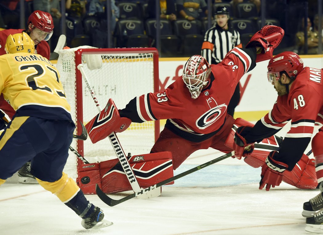 Scott Darling pochytal 28 střel Nashvillu a jen jednou inkasoval