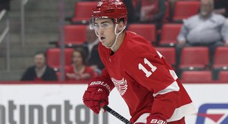 Zadina do NHL? Žádné zkratky. Přijde, až se otrká, řekl trenér Detroitu