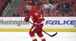 Filip Zadina se pere o místo na soupisce Detroitu