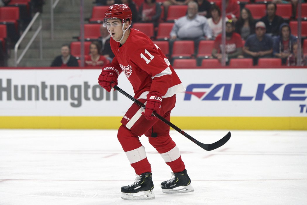 Filip Zadina se pere o místo na soupisce Detroitu