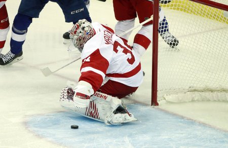 Petr Mrázek (Detroit Red Wings)