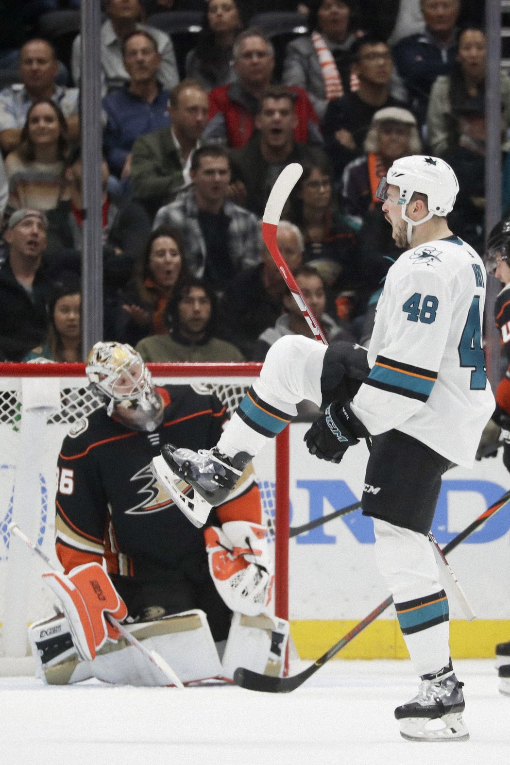 Tomáš Hertl slavil proti Ducks dvakrát