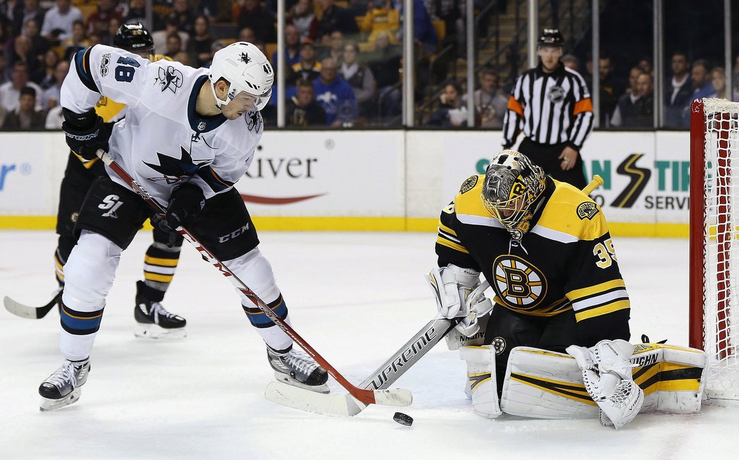 Tomáš Hertl proti Bruins dvakrát vystřelil na bránu, úspěšný ale nebyl