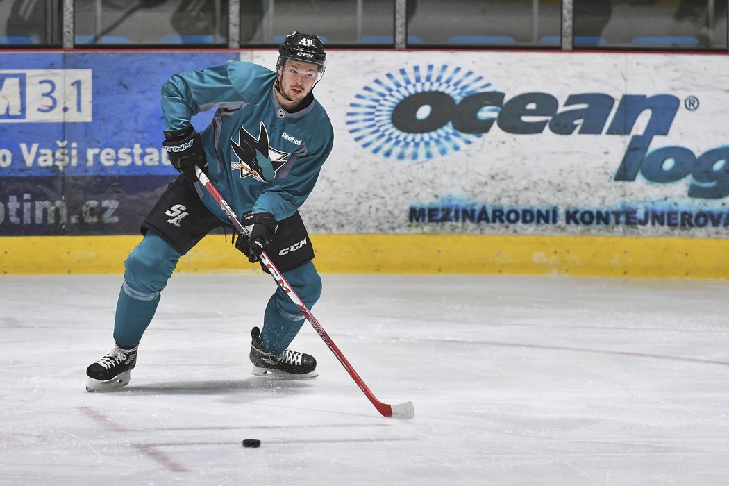 Na ledě je Tomáš Hertl tradičně v barvách San Jose