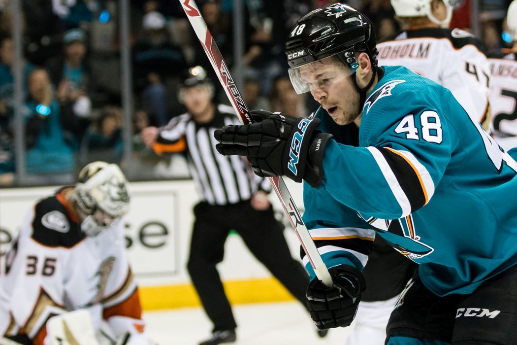 Útočník San Jose Tomáš Hertl se raduje z jednoho gólů v play off NHL