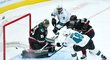 Tomáš Hertl střílí gól proti Arizoně