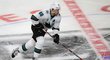 Tomáš Hertl měl v NHL pozitivní test na koronavirus