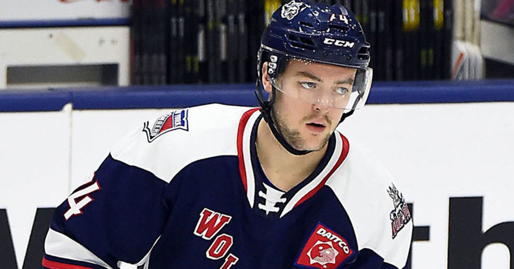 Místo toho, aby se obránce Sean Day z AHL posunul do prvního týmu Rangers, skončil v ECHL.