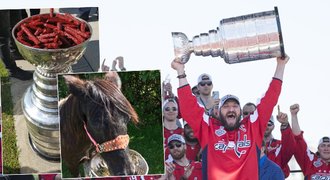 Co v létě dělali Stanley Cupu? Jedl z něj kůň, byly v něm mimina i bořšč