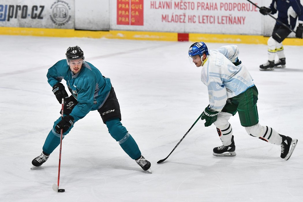 Útočník San Jose Sharks Tomáš Hertl