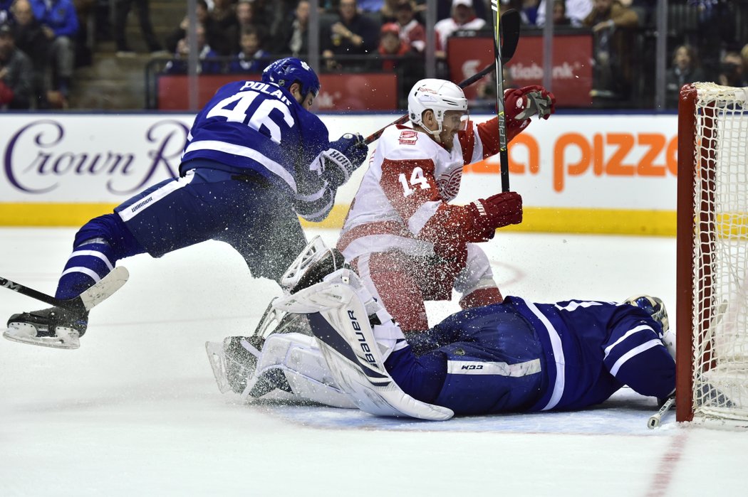 Roman Polák zapsal proti Red Wings dva záporné body