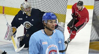 Přehled 41 Čechů v kempech NHL: Chalupa, Dostál i mladíci z dvacítky