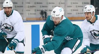 Hertl platil večeři, prozradili hráči Sharks. Chválí Prahu i české jídlo