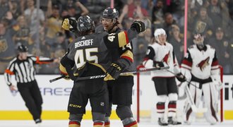 Příprava NHL: Nosek řádil, třemi asistencemi přispěl k rozebrání Arizony