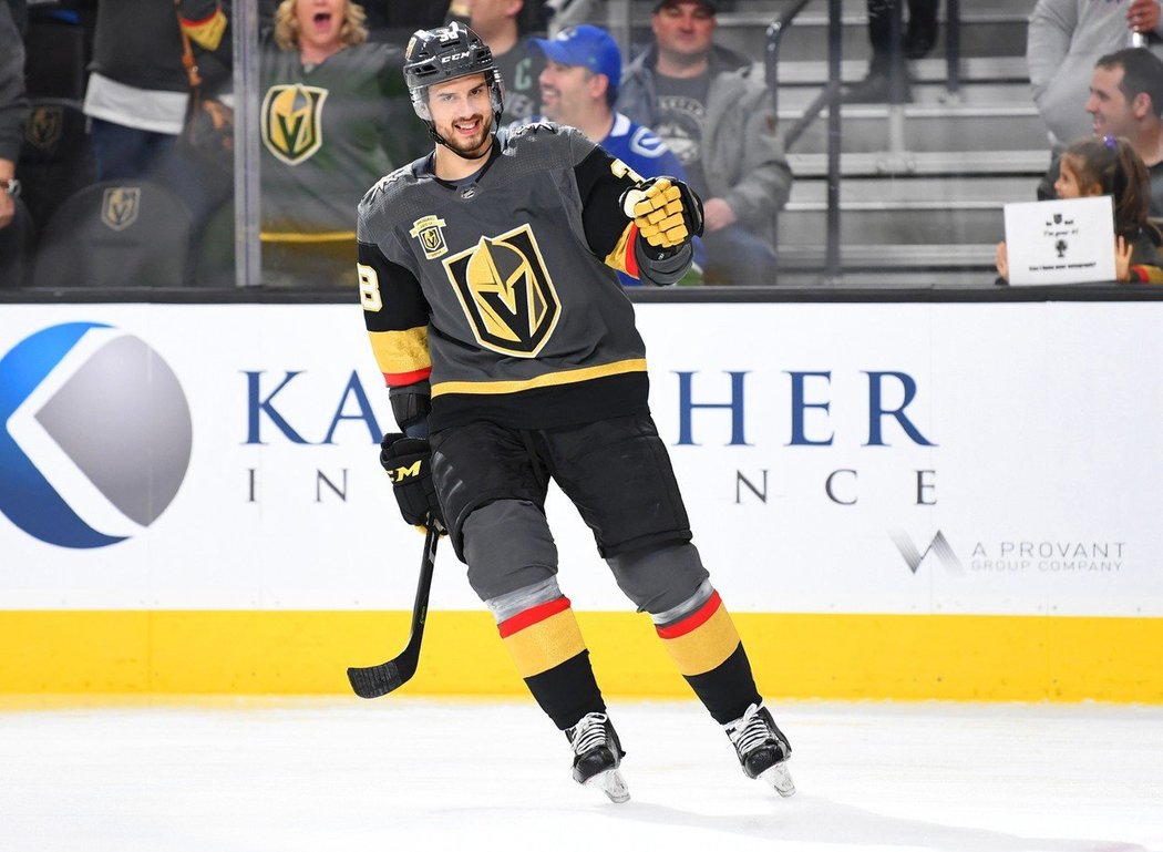 Tomáš Hyka se po mistrovství světa připojil zpátky k Vegas, které bojuje ve finále Stanley Cupu