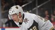 Tomáš Nosek válí v NHL v barvách Vegas Golden Knights