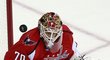 Poprvé v sezoně nestál v bráně Washingtonu český brankář. Braden Holtby prohře se San Jose nezabránil.