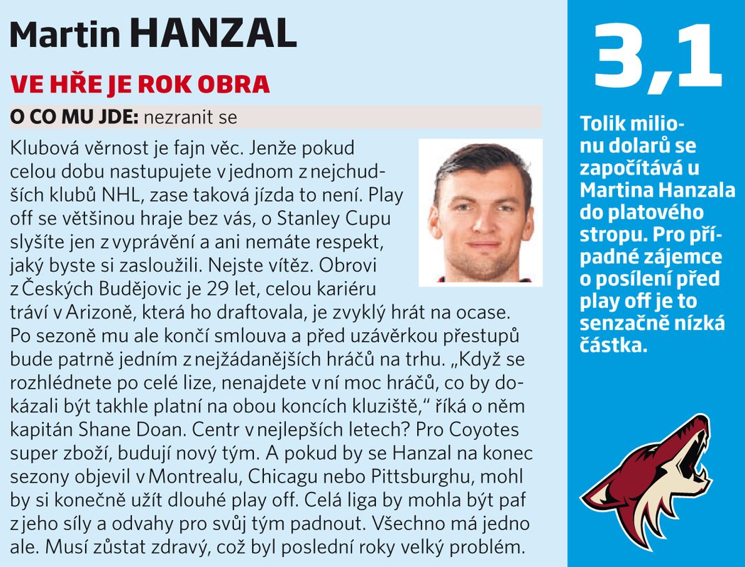 Martin Hanzal