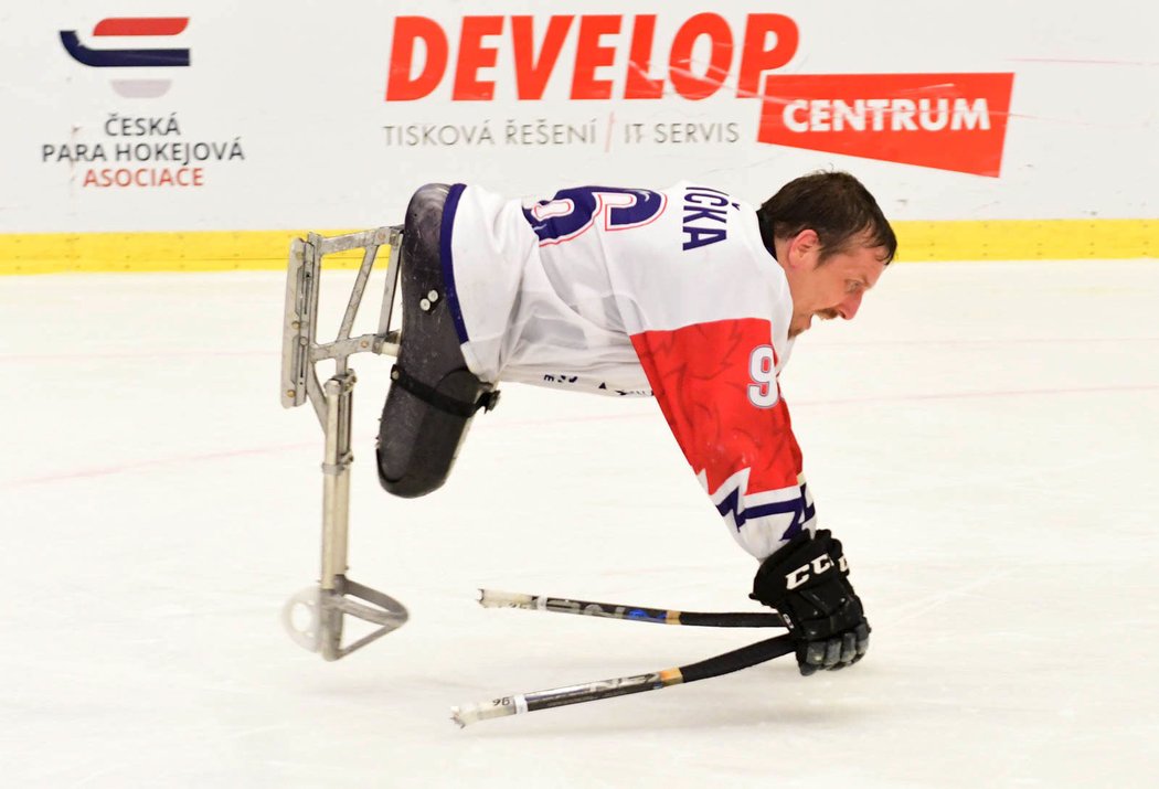 Čeští para hokejisté rozpoutali na mistrovství světa v Ostravě vlnu euforie. V semifinále hrají proti favorizovanému týmu USA