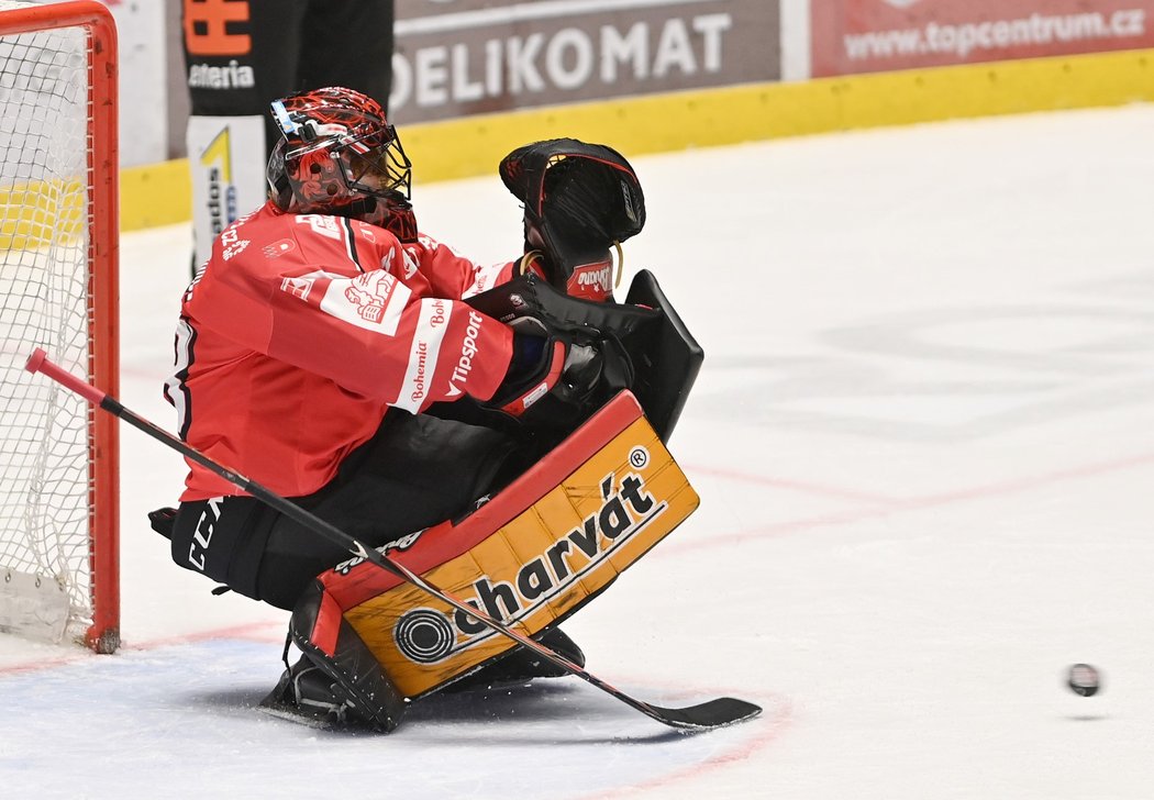 Gólman Pardubic Dominik Frodl se těší svému návratu