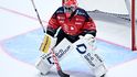 Malcolm Subban v brance Pardubic v zápase s Plzní