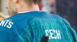Petr Čech aktuálně působí jako dvojka v týmu Belfast Giants