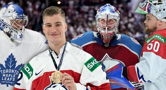 Kouč brankářů o Češích v NHL: Dostál se posune, Francouz si jde za snem