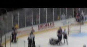 Divočina v NHL: Padaly branky i údery pěstí