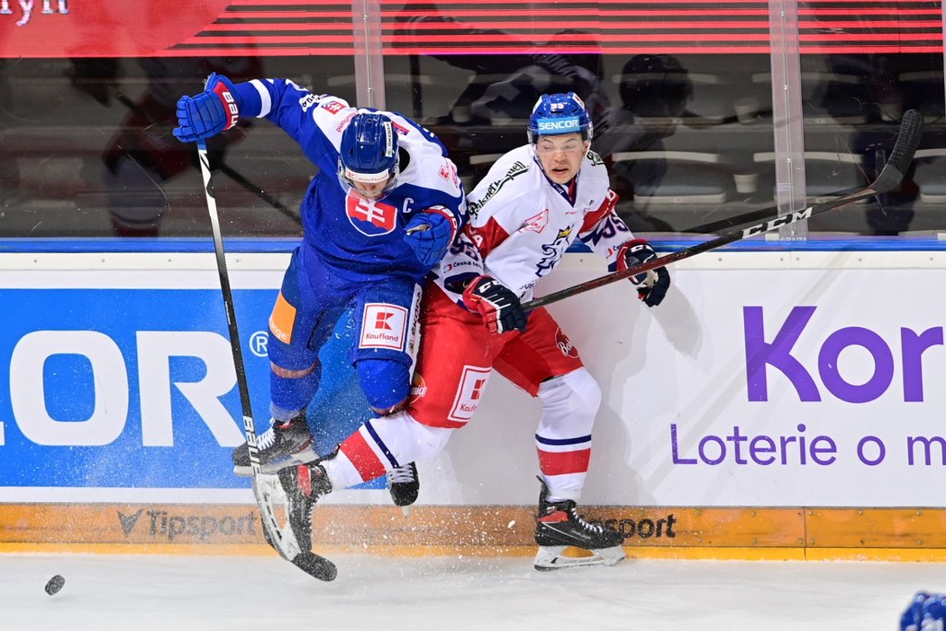 Přípravné hokejové utkání mezi Českem a Slovenskem