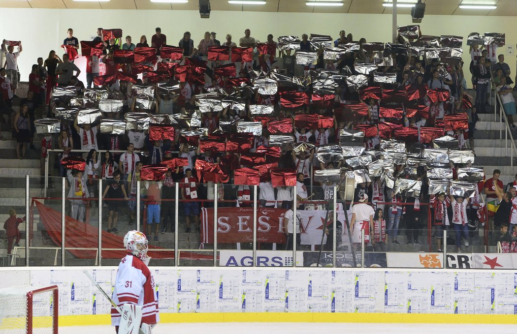 Choreo fanoušků Slavie