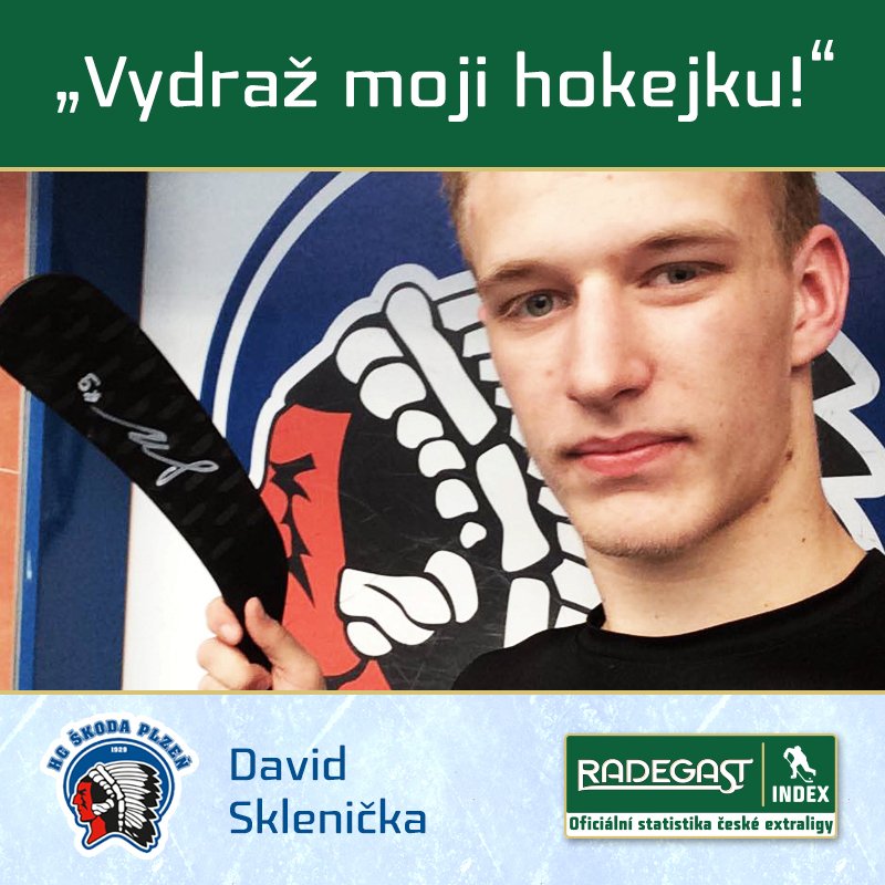 David Sklenička (Plzeň) draží hokejku