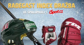 Vydražte výstroj hokejových bojovníků, Radegast index aukce končí ve 12:00