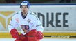 Kapitán hokejové reprezentace Roman Červenka je zpět u týmu poprvé od mistrovství světa