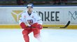Kapitán hokejové reprezentace Roman Červenka je zpět u týmu poprvé od mistrovství světa