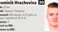Dominik Hrachovina