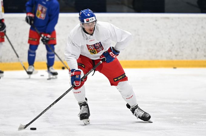 Dvacítka zatím bez Mrtky. Česká jednička draftu chybí na soupisce, má zdravotní problémy Dvacítka zatím bez Mrtky. Česká jednička draftu chybí na soupisce, má zdravotní problémy