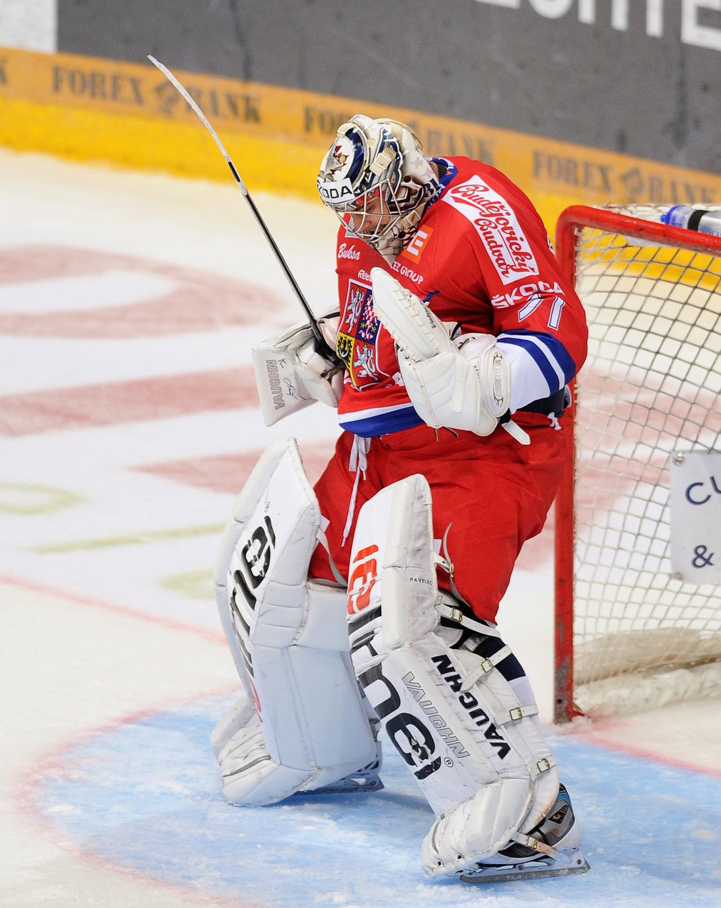 Ondřej Pavelec se zaslouženě raduje. Český brankář pokryl všechny finské střely a vychytal svěřencům kouče Hadamczika vítězství 1:0. Češi nakonec turnaj Karjala Cup vyhráli.