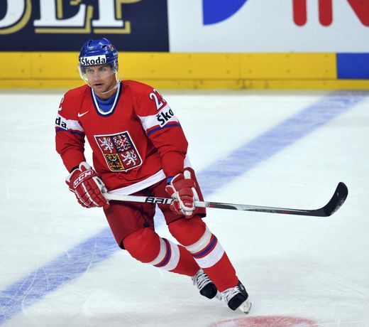 Petr Gřegořek má zlato z mistrovství světa v roce 2010 Petr Gřegořek má zlato z mistrovství světa v roce 2010
