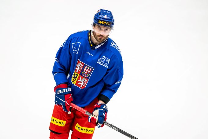 MS v hokeji ONLINE: Češi mají dobrovolný trénink, na ledě je i Kempný MS v hokeji ONLINE: Češi mají dobrovolný trénink, na ledě je i Kempný