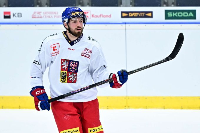 Těžké období ve Švédsku, i tak je Rousek zpátky v reprezentaci: Zatím nebyl zdvižený prst Těžké období ve Švédsku, i tak je Rousek zpátky v reprezentaci: Zatím nebyl zdvižený prst