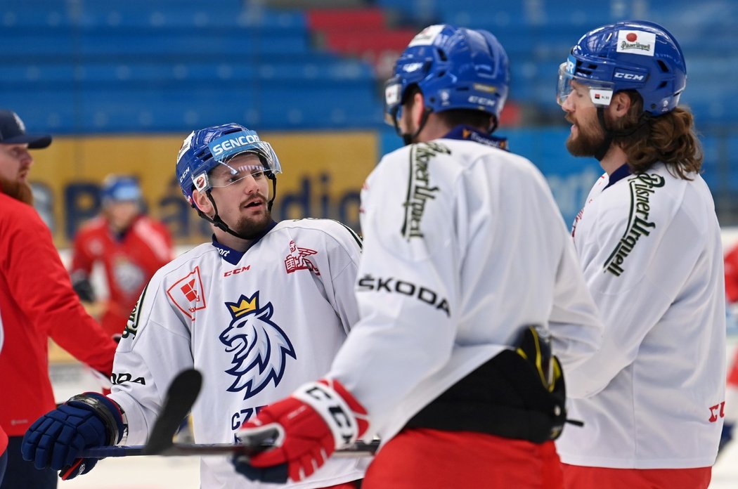 Útočník Petr Holík na tréninku české hokejové reprezentace