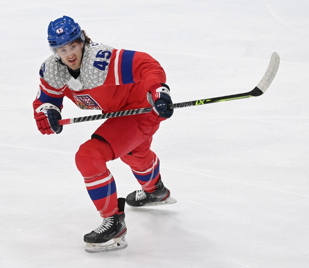 Lukáš Sedlák má reprezentační zkušenosti, v NHL ovšem zatím moc prostoru nedostal