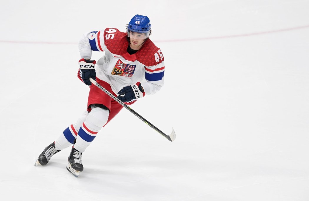 Reprezentační útočník Lukáš Sedlák se po olympijské sezoně pokouší o stálý návrat do NHL