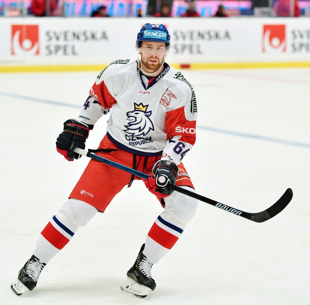Reprezentační útočník Jiří Sekáč by rád znovu získal v přípravě před mistrovství světa chuť po hokeji po nevydařeném play off KHL
